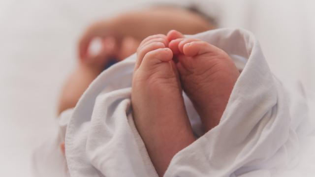 تربية الاطفال حديثي الولادة