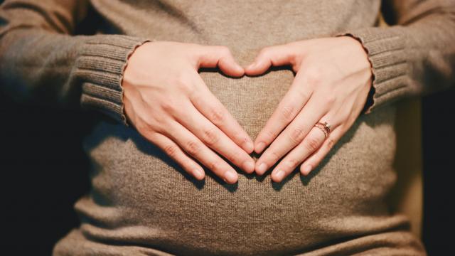 موضوع عن مراحل نمو الجنين